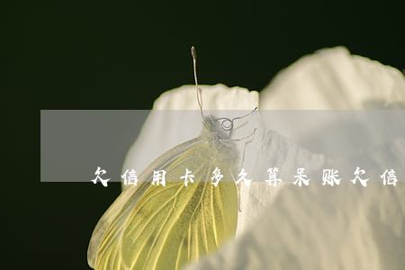 欠信用卡多久算呆账(欠信用卡多久成死账)