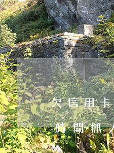 欠信用卡多久算是逾期（信用卡欠款逾期多長時間抓人）