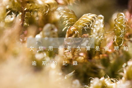 欠信用卡多久算是逾期的 欠信用卡多久算是逾期的記錄