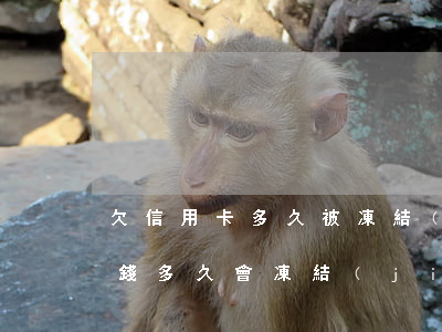 欠信用卡多久被凍結(jié)(欠信用卡的錢多久會凍結(jié)的儲蓄卡的錢嗎)