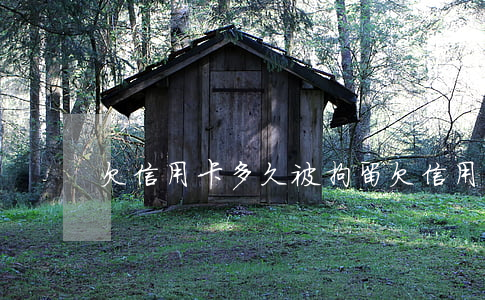 欠信用卡多久被拘留(欠信用卡多錢夠拘留)