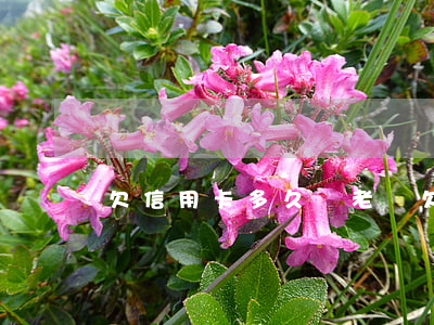 欠信用卡多久變老賴(欠信用卡多久變老賴)