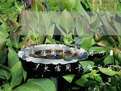 欠信用卡多少可以構(gòu)成刑事案件-欠信用卡多少可以構(gòu)成刑事案件呢