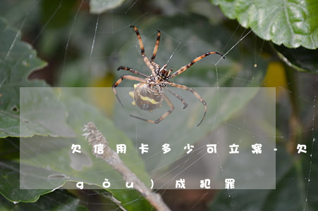 欠信用卡多少可立案-欠信用卡多少錢構(gòu)成犯罪