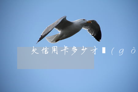 欠信用卡多少才構(gòu)成