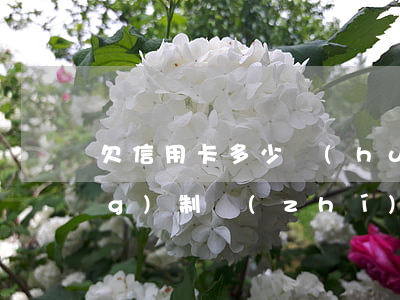 欠信用卡多少會(huì)被強(qiáng)制執(zhí)行(欠信用卡多少錢會(huì)被列入失信名單)