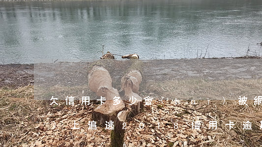 欠信用卡多少會(huì)被網(wǎng)上追逃（2018信用卡逾期網(wǎng)上逃犯）