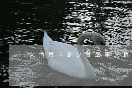 欠信用卡多少會坐牢(欠信用卡多少要坐牢)