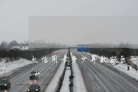 欠信用卡多少算数额巨大（信用卡总共欠了多少）