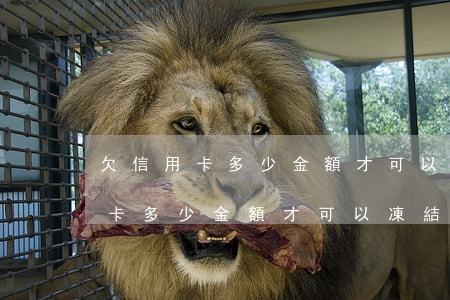 欠信用卡多少金額才可以凍結賬戶-欠信用卡多少金額才可以凍結賬戶呢