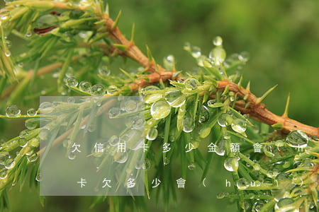 欠信用卡多少金額會(huì)坐牢（欠信用卡欠多少會(huì)凍結(jié)）