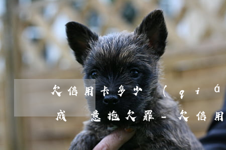 欠信用卡多少錢(qián)構(gòu)成惡意拖欠罪-欠信用卡多少錢(qián)構(gòu)成惡意拖欠罪行為