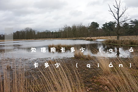 欠信用卡多少錢(qián)要判刑(欠信用卡多少錢(qián)構(gòu)成刑事案件)