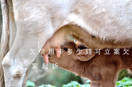 欠信用卡多少錢可立案(欠信用卡多少錢可立案起訴)