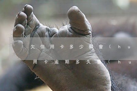 欠信用卡多少錢會(huì)被上門催收（信用卡逾期多久會(huì)上門要錢）