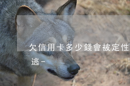 欠信用卡多少錢會被定性為網(wǎng)逃-