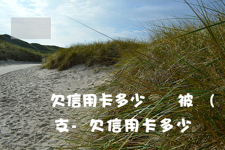 欠信用卡多少錢會被認(rèn)定惡意透支-欠信用卡多少錢會被認(rèn)定惡意透支行為