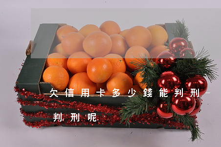 欠信用卡多少錢能判刑-欠信用卡多少錢能判刑呢