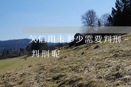 欠信用卡多少需要判刑-欠信用卡多少需要判刑呢