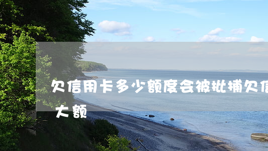 欠信用卡多少额度会被批捕（欠信用卡多少算大额）