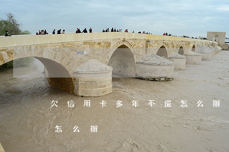 欠信用卡多年不還怎么辦(欠信用卡多年不還怎么辦)
