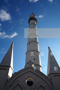 欠信用卡多年去考驾照会被抓吗(欠信用卡会不会影响孩子考大学)