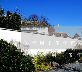 欠信用卡多年可以協(xié)商還本金嗎-欠信用卡多年可以協(xié)商還本金嗎怎么辦