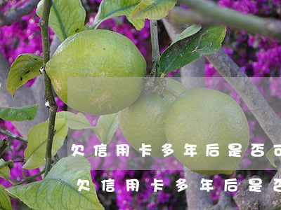 欠信用卡多年后是否可以協(xié)商-欠信用卡多年后是否可以協(xié)商還款