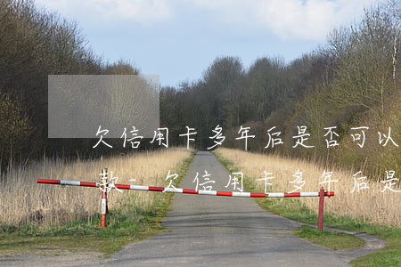 欠信用卡多年后是否可以協(xié)商還款-欠信用卡多年后是否可以協(xié)商還款呢