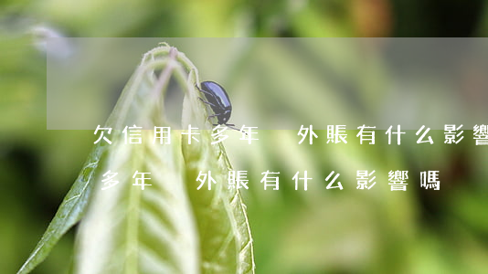 欠信用卡多年掛外賬有什么影響-欠信用卡多年掛外賬有什么影響嗎