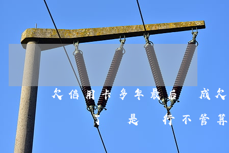 欠信用卡多年最后變成(欠信用卡好多年了是還錢了還是銀行不管算呆帳)