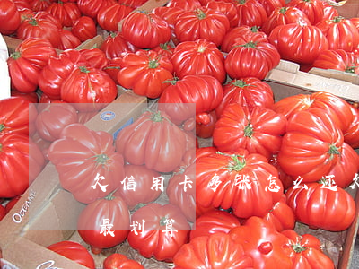 欠信用卡多张怎么还(欠信用卡多张怎么还款最划算)