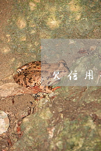 欠信用卡 天涯(欠信用卡人的心態(tài))
