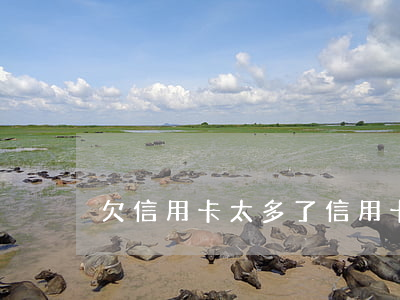 欠信用卡太多了（信用卡約欠越多）