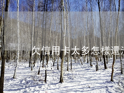 欠信用卡太多怎樣還清(欠信用卡越來越多怎樣還)