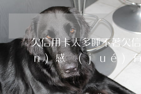 欠信用卡太多睡不著(欠信用卡的錢(qián),感覺(jué)有好大的壓力)