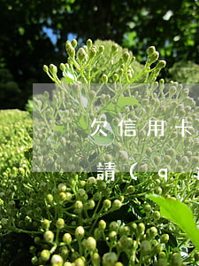 欠信用卡太多請(qǐng)律師 欠信用卡請(qǐng)律師費(fèi)用多少錢