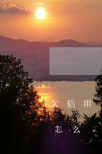 欠信用卡太多還不上怎么辦（欠信用卡還多了怎么辦）