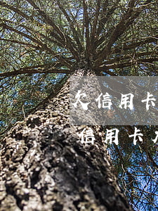 欠信用卡太多離婚會(huì)怎么樣-欠信用卡太多離婚會(huì)怎么樣
