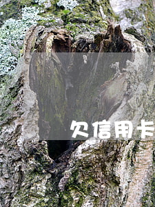 欠信用卡 夫妻 單位 欠信用卡 夫妻 單位
