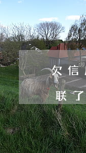 欠信用卡失联四年了怎么办（欠信用卡4万失联了）