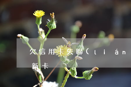 欠信用卡失聯(lián)5年了怎么辦理新卡