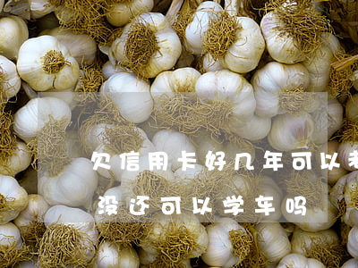 欠信用卡好几年可以考驾照吗 欠信用卡的钱没还可以学车吗