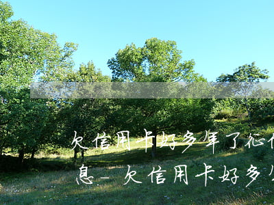 欠信用卡好多年了征信也沒(méi)有利息-欠信用卡好多年了征信也沒(méi)有利息怎么辦
