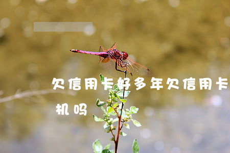 欠信用卡好多年(欠信用卡好几年了可以坐飞机吗)