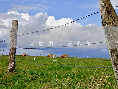 欠信用卡好多年沒還了(欠信用卡好多年沒還了會坐牢嗎)