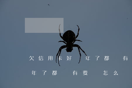 欠信用卡好幾年了都沒有要債(欠信用卡好幾年了都沒有要債怎么辦)
