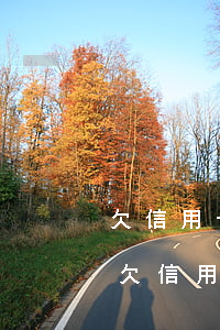 欠信用卡好幾年沒(méi)還都是利息-欠信用卡好幾年沒(méi)還都是利息嗎