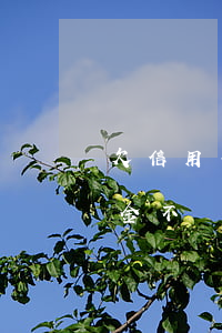 欠信用卡如何只還本金 欠信用卡如何只還本金不還利息