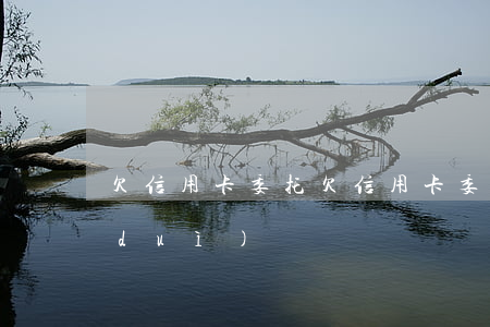欠信用卡 委托(欠信用卡委托人悄悄錄音對(duì)嗎)